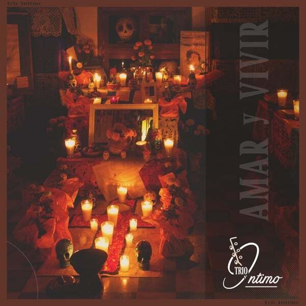 Cover art for Amar y Vivir